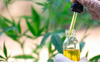 9 CBD eļļas ieguvumi veselībai — un blakusparādības