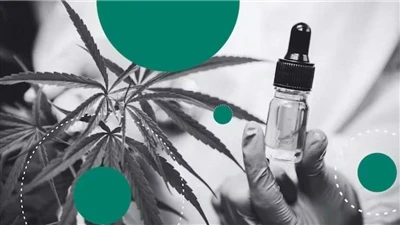 Kaņepes pret CBD: kāda ir atšķirība?