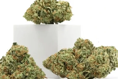 Kāpēc CBD veido labākos dabiskos lūpu balzāmus