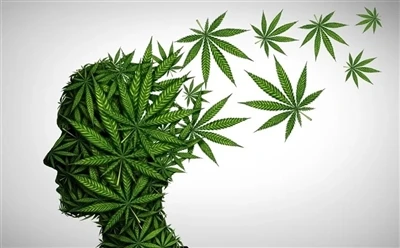 Kā izmantot CBD eļļu, lai iegūtu optimālus ieguvumus: pilns ceļvedis?